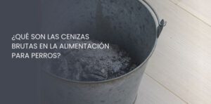 cenizas brutas en la alimentación para perros