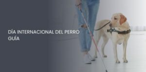 Día Internacional Del Perro Guía