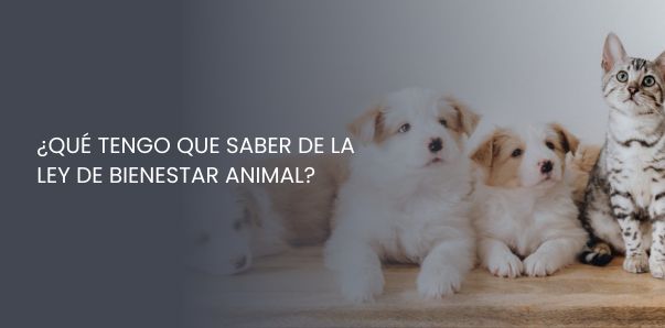 ley de bienestar animal