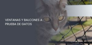 Balcones a prueba de gatos